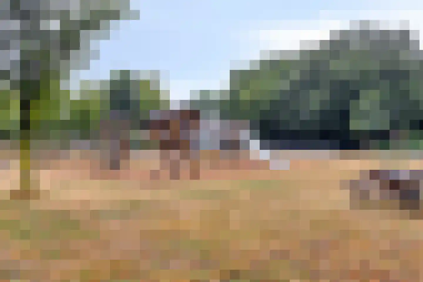 Koelhorst 34 Ede thumbnail 31