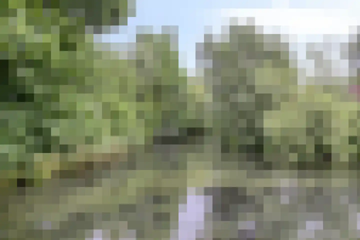 Koelhorst 34 Ede thumbnail 33