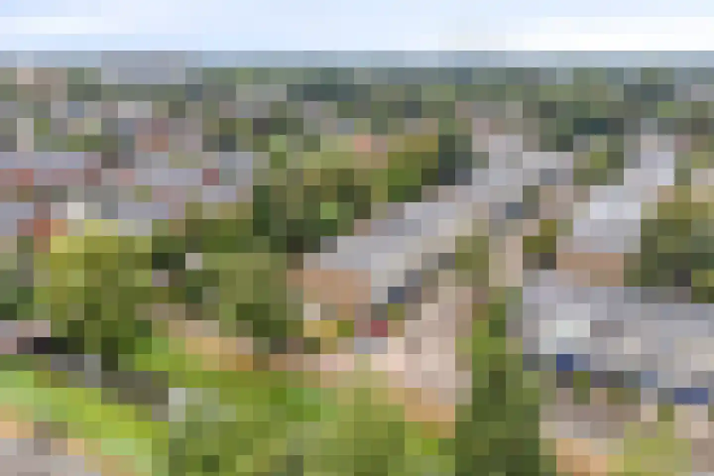 Koelhorst 34 Ede thumbnail 39