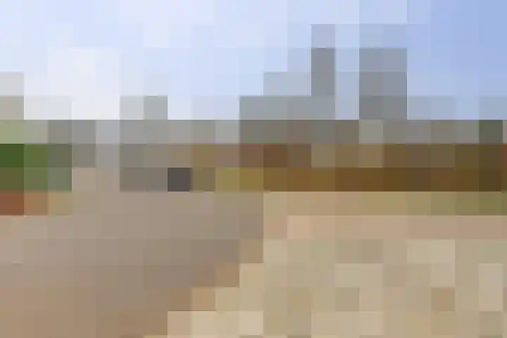 Koelhorst 38 Ede thumbnail 31