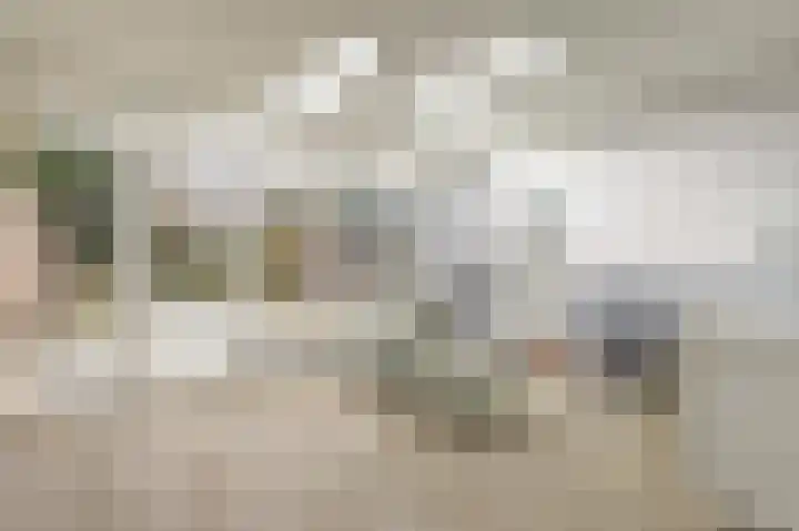 Koelhorst 38 Ede thumbnail 8