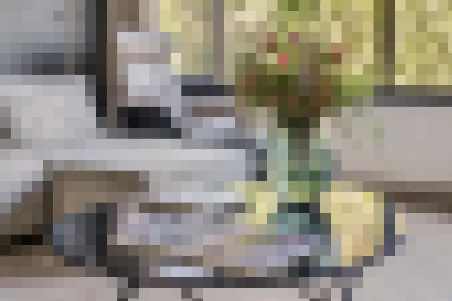 Koelhorst 55 Ede thumbnail 11
