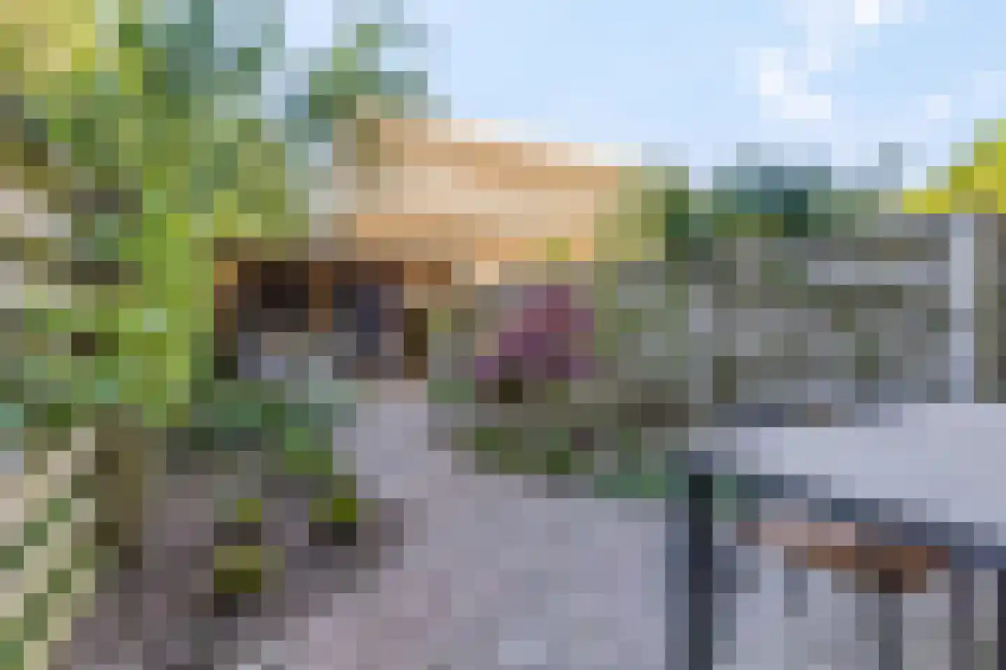 Koelhorst 55 Ede thumbnail 31
