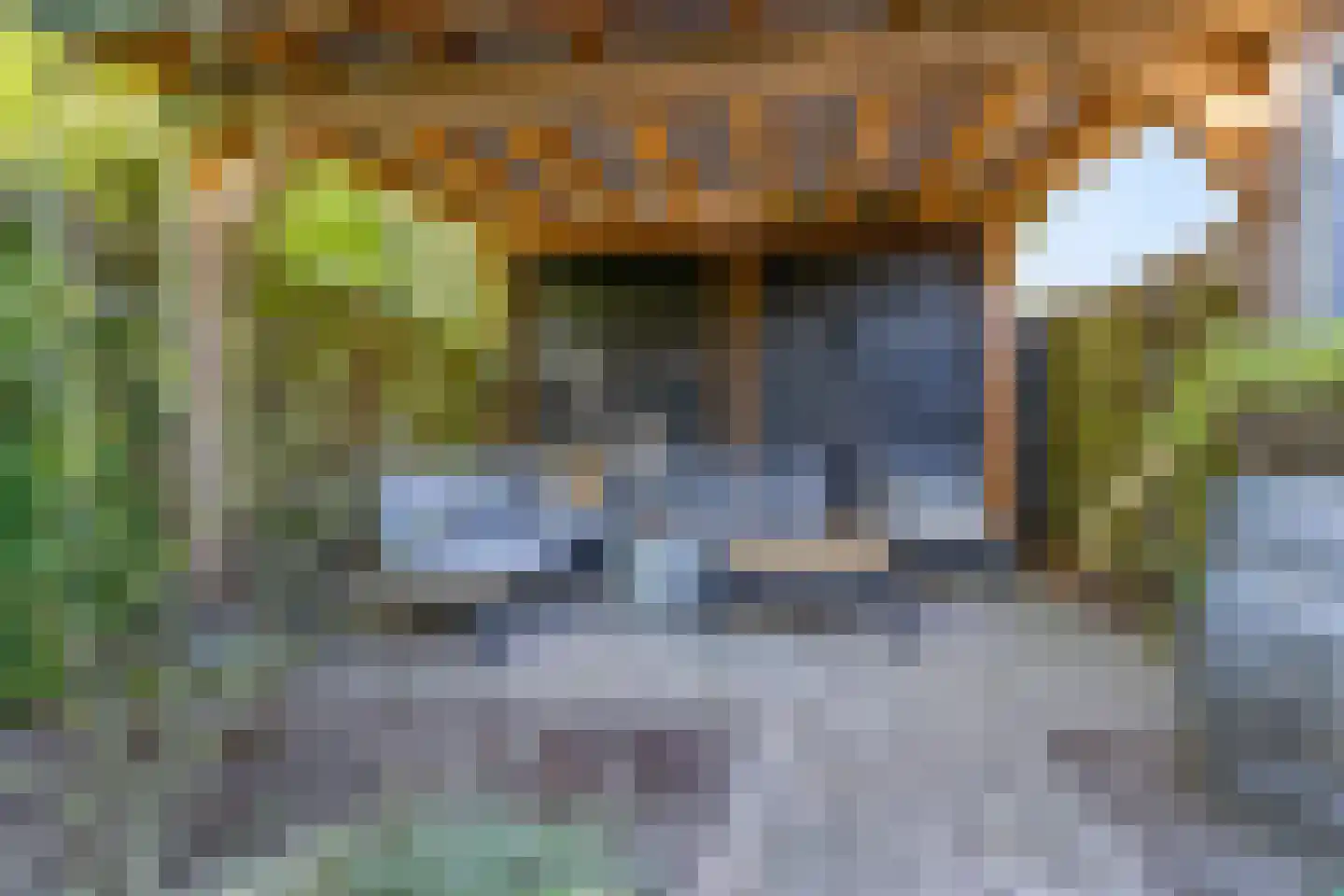 Koelhorst 55 Ede thumbnail 33