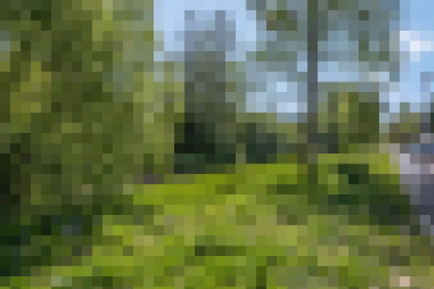 Koelhorst 55 Ede thumbnail 51