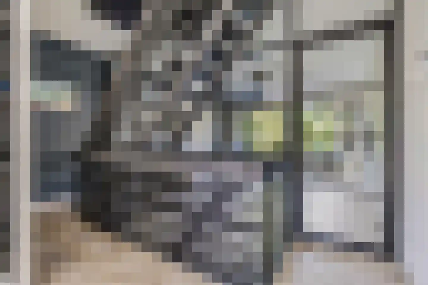 Koelhorst 55 Ede thumbnail 6