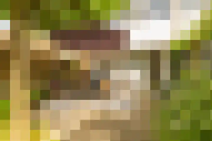 Koelhorst 77 Ede thumbnail 36
