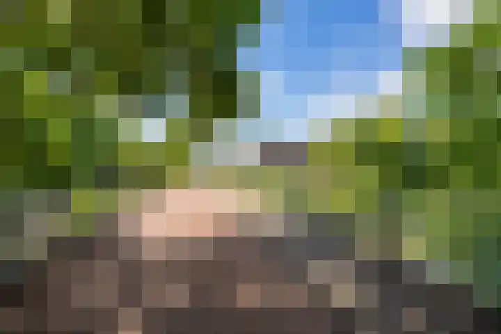 Koelhorst 77 Ede thumbnail 43