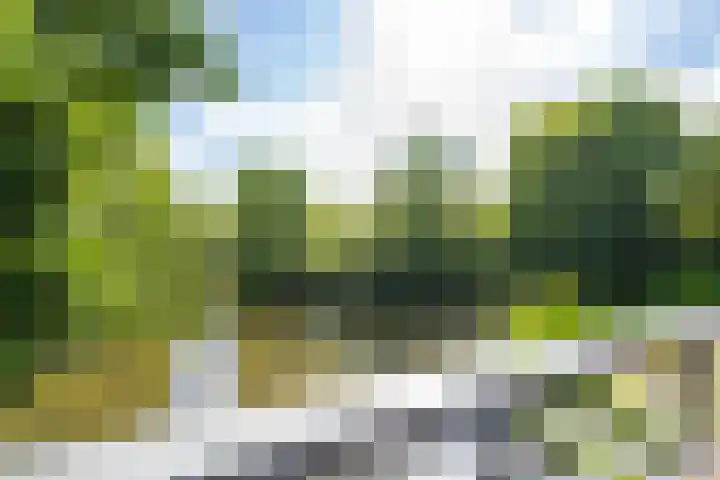 Koelhorst 77 Ede thumbnail 44