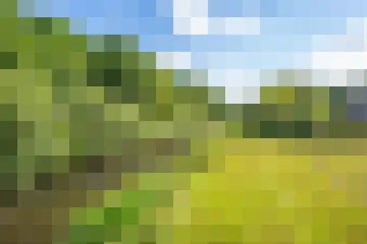 Koelhorst 77 Ede thumbnail 47