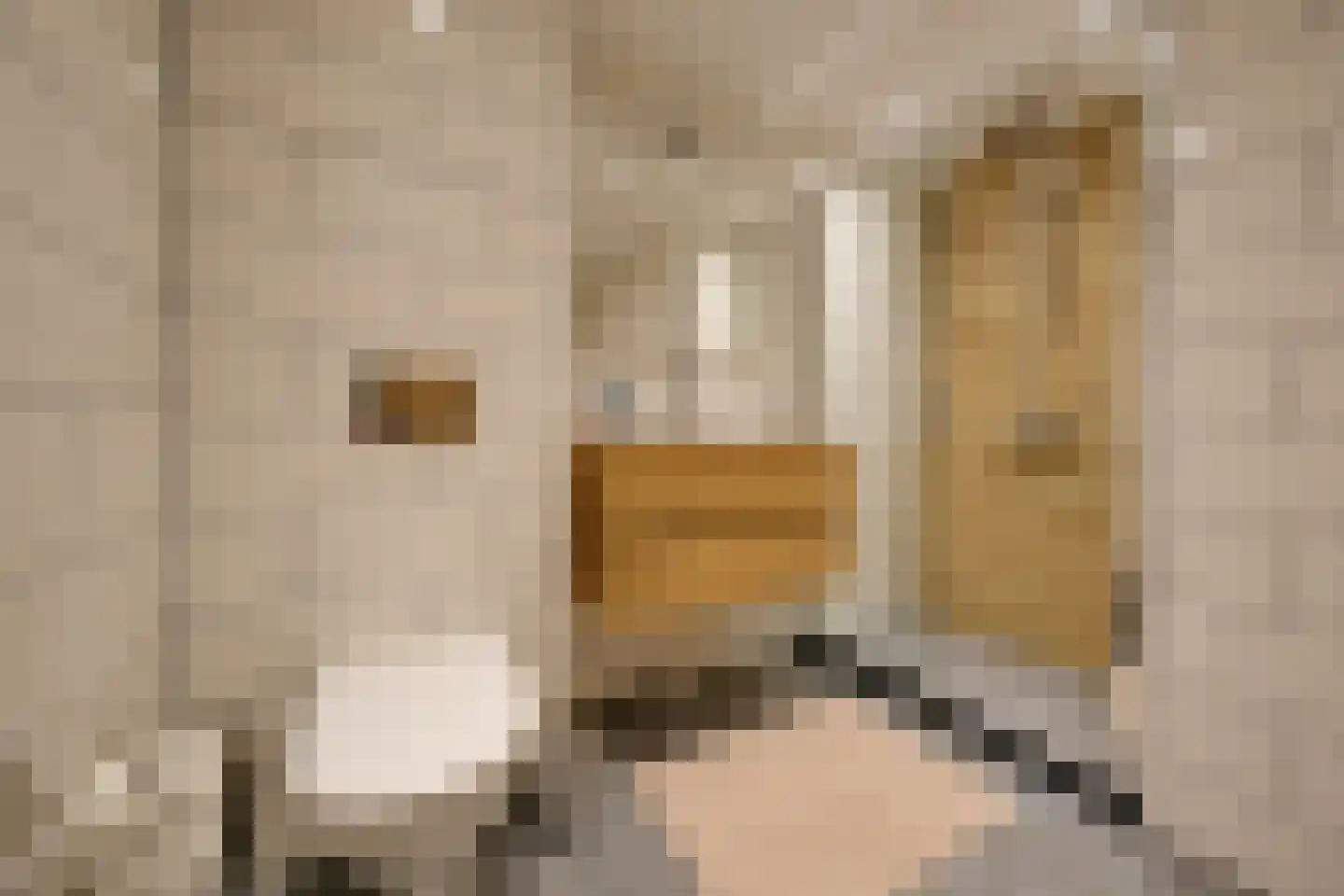 Koelhorst 91 Ede thumbnail 4