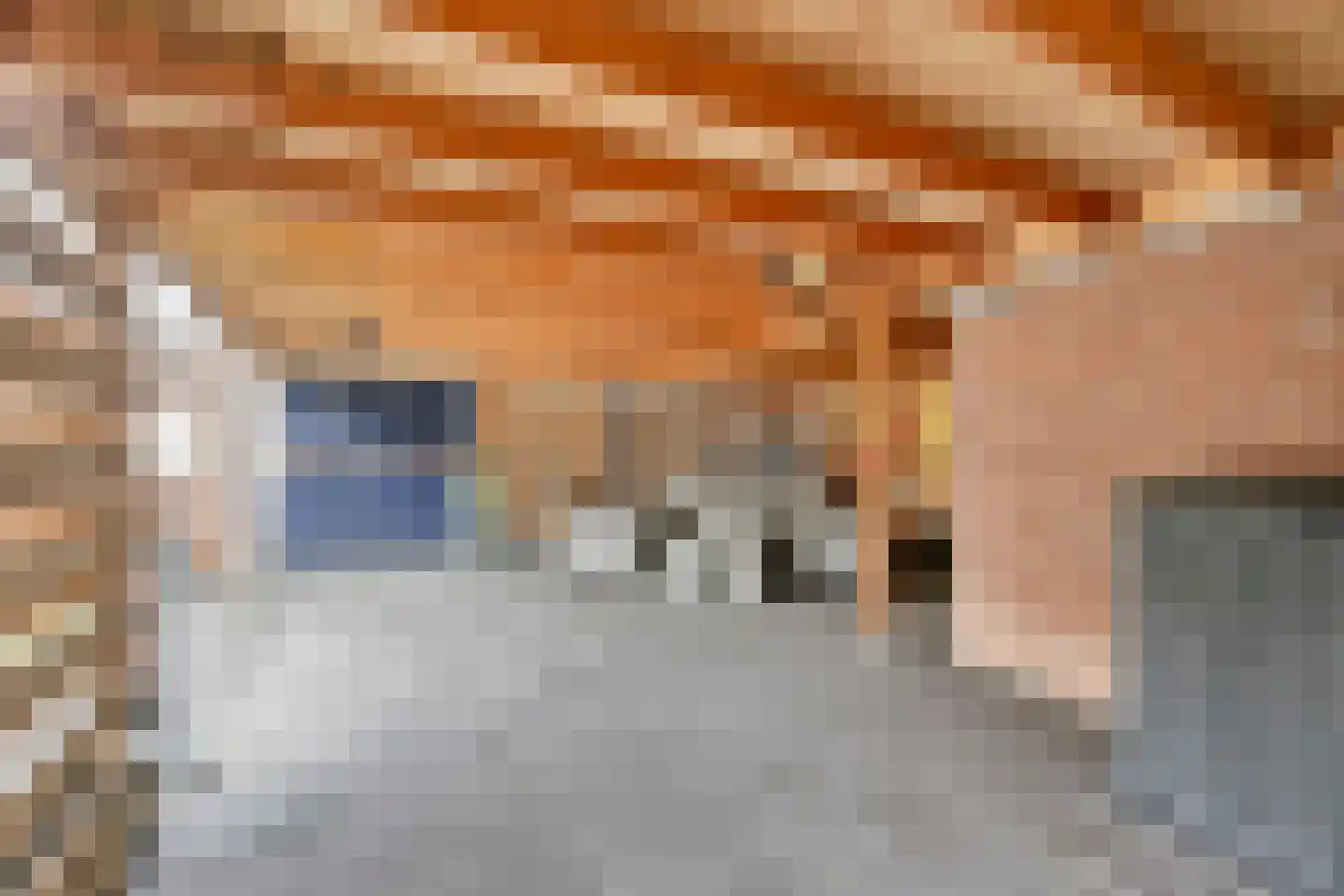 Koelhuisstraat 15 Huissen thumbnail 15