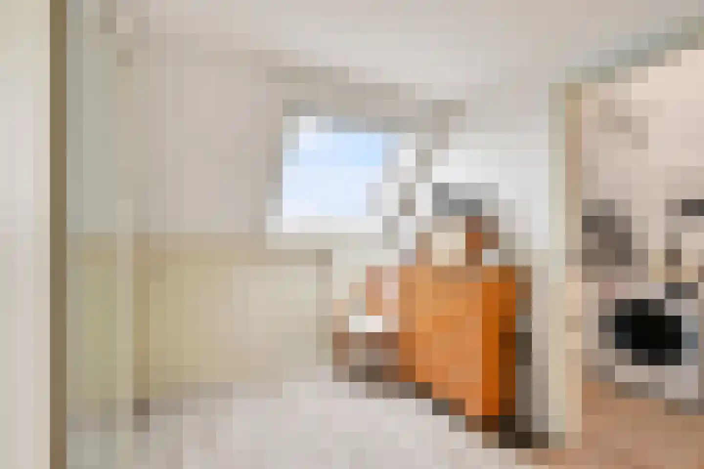 Koelhuisstraat 15 Huissen thumbnail 26