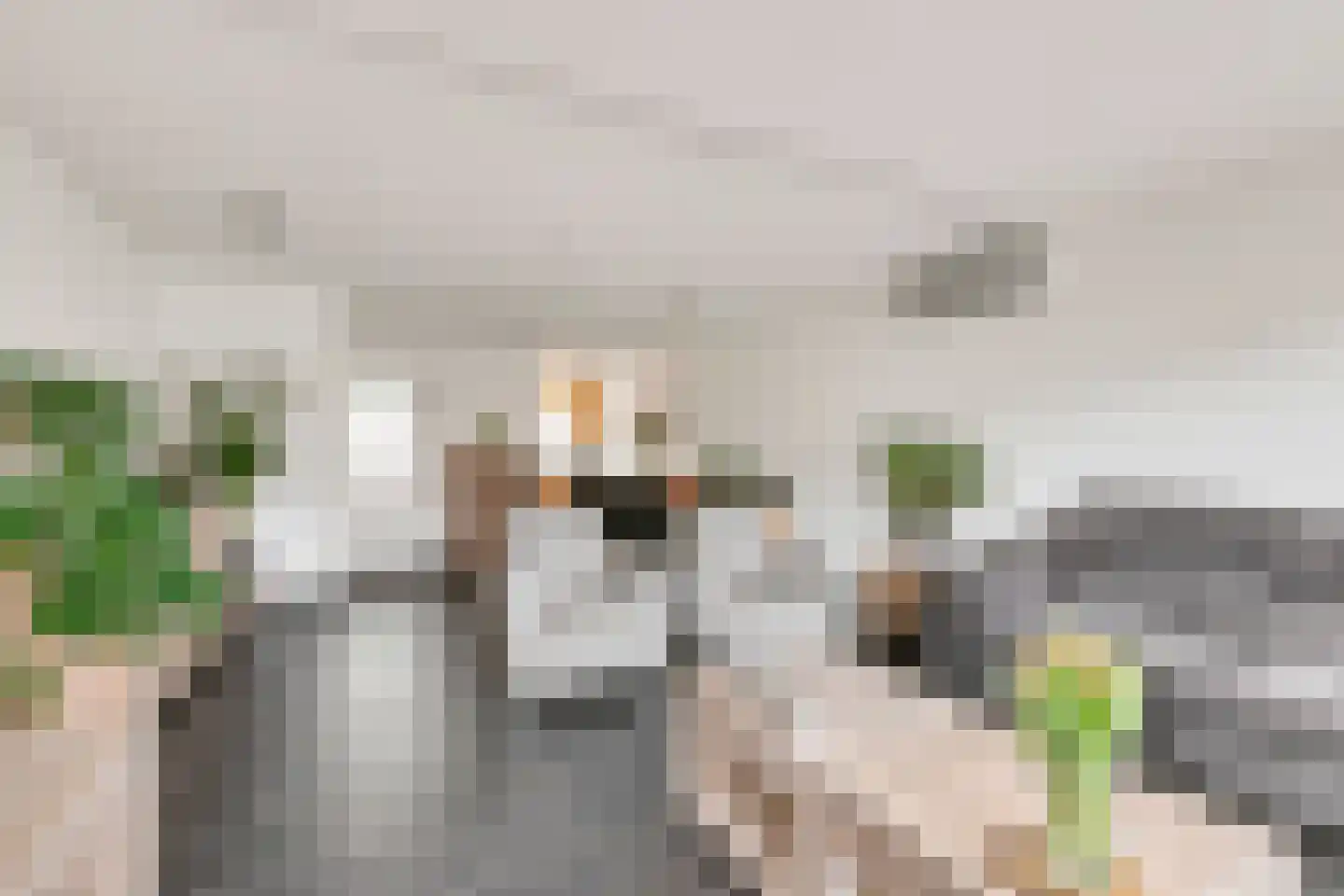 Koelhuisstraat 15 Huissen thumbnail 7