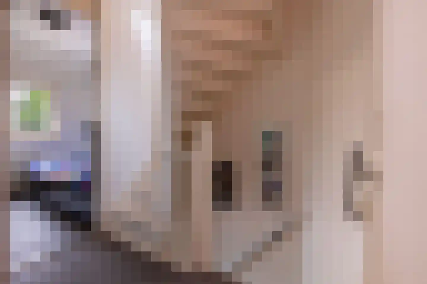 Koelhuisstraat 29 Huissen thumbnail 24