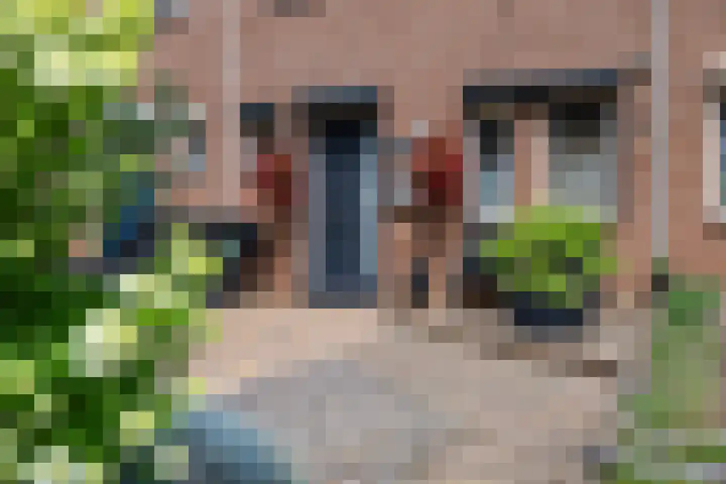 Koelhuisstraat 29 Huissen thumbnail 5