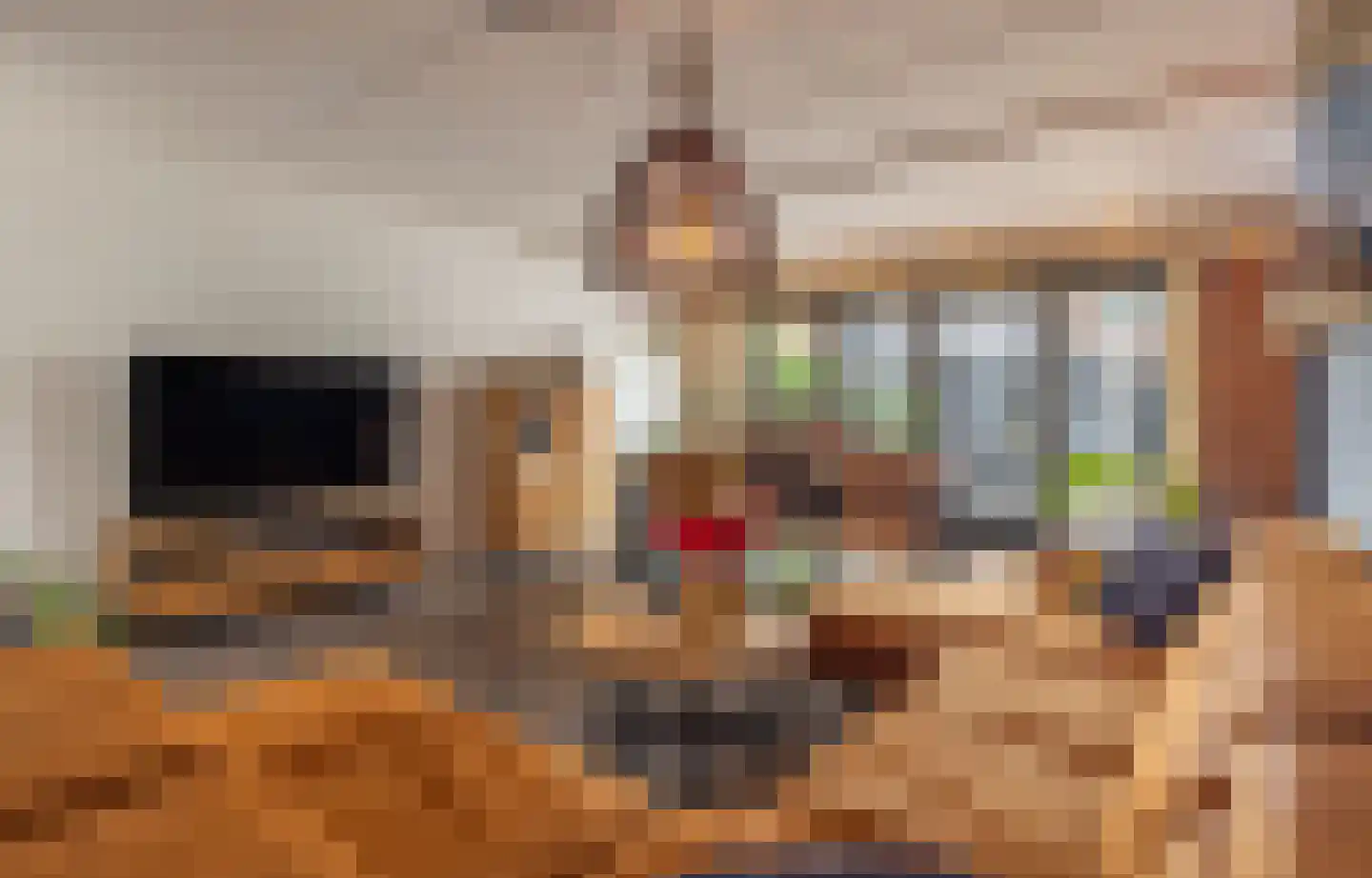 Koelhuisstraat 29 Huissen thumbnail 9