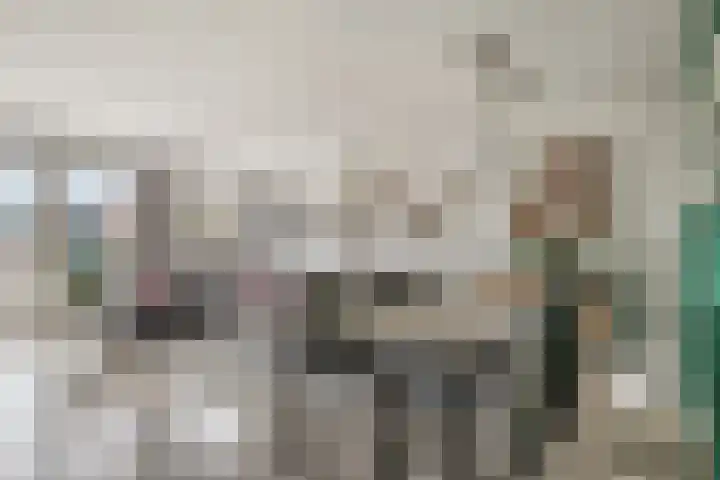 Koelhuisstraat 41 Huissen thumbnail 7
