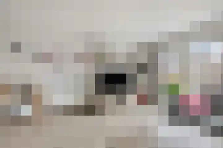 Koelhuisstraat 41 Huissen thumbnail 9
