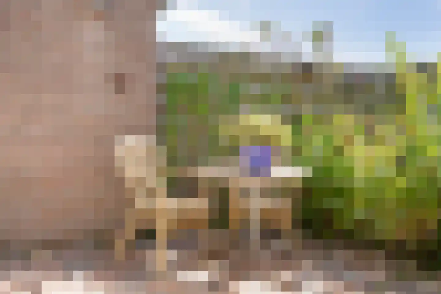 Koelkamp 5 Westerbork thumbnail 54