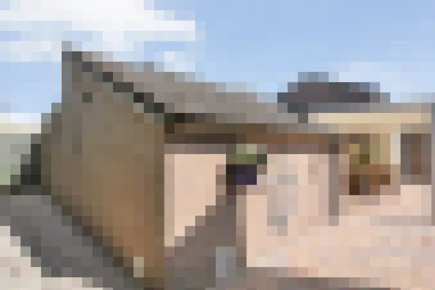 Koelkamp 5 Westerbork thumbnail 56