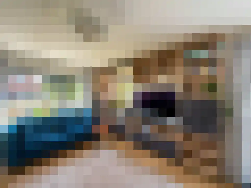 Koelmansstraat 26 Dalfsen thumbnail 5