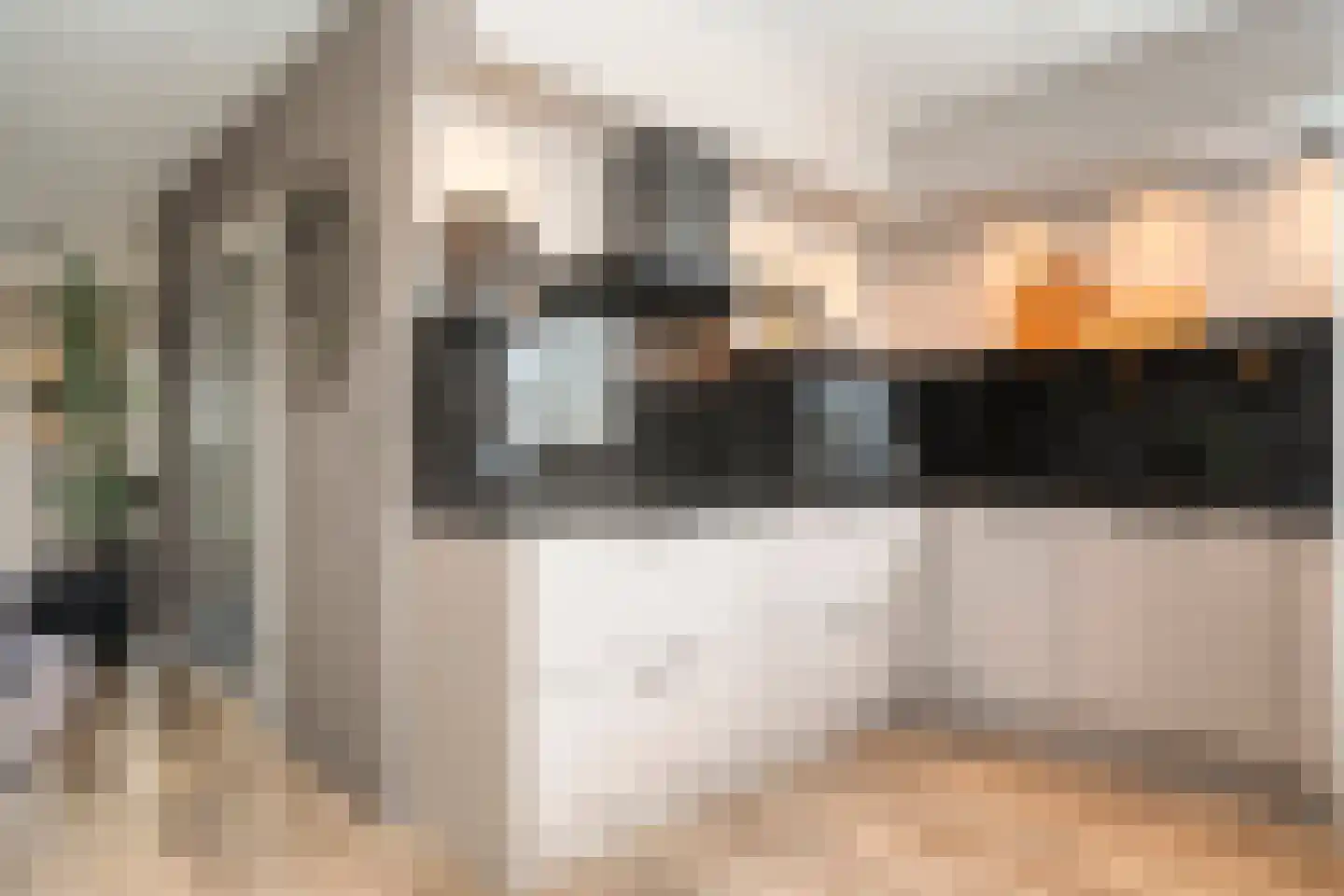 Koelmansstraat 28 Dalfsen thumbnail 13
