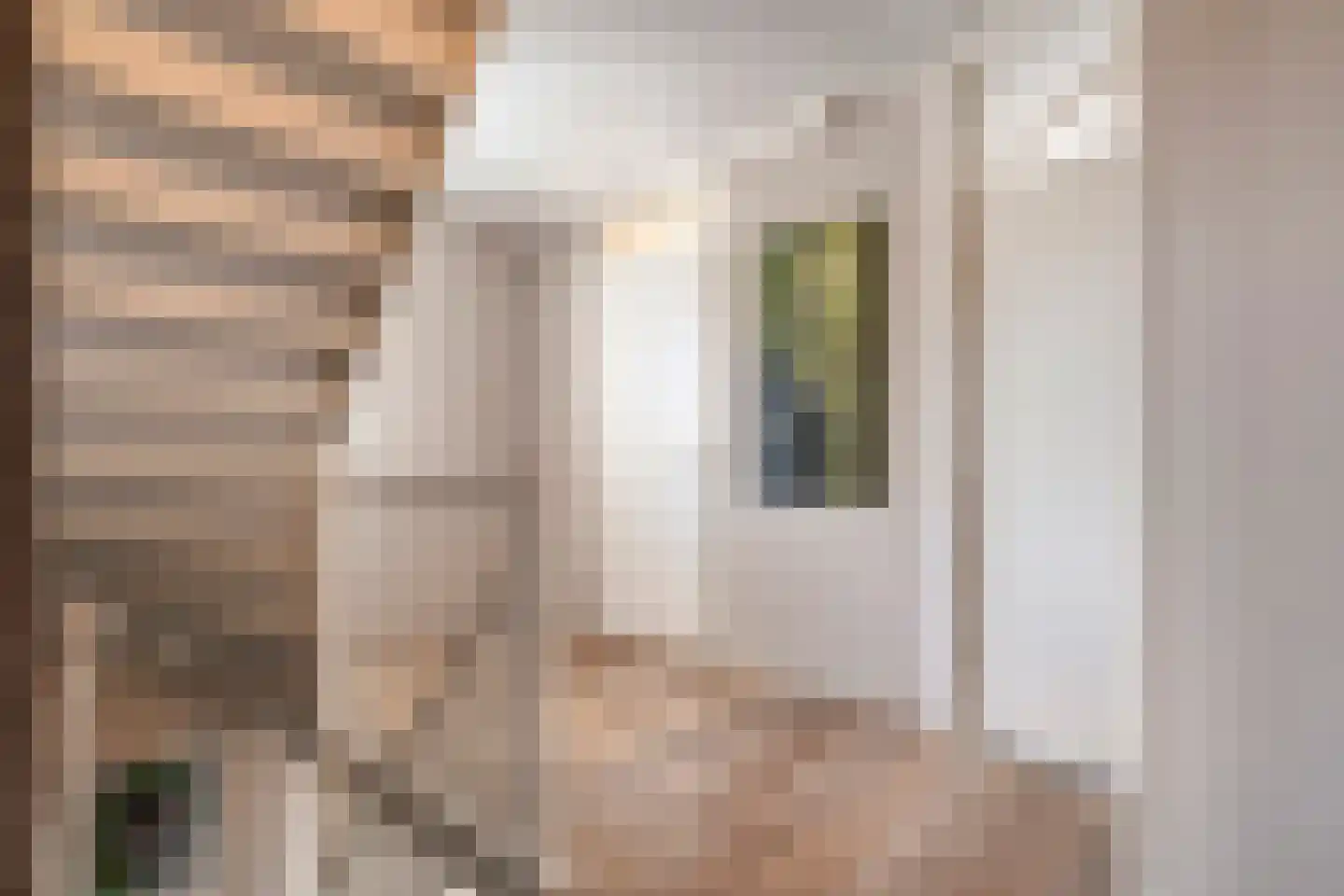Koelmansstraat 28 Dalfsen thumbnail 17