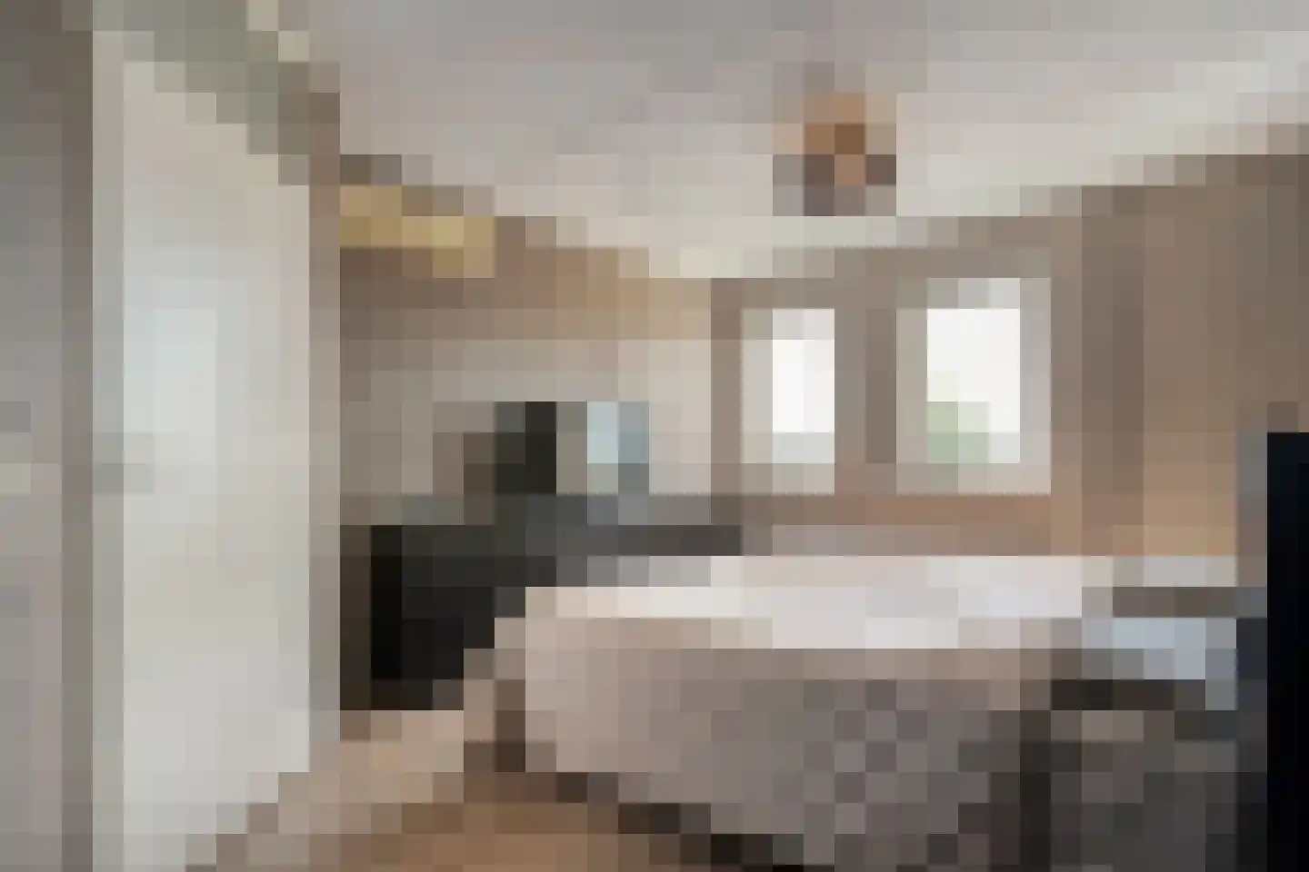 Koelmansstraat 28 Dalfsen thumbnail 20