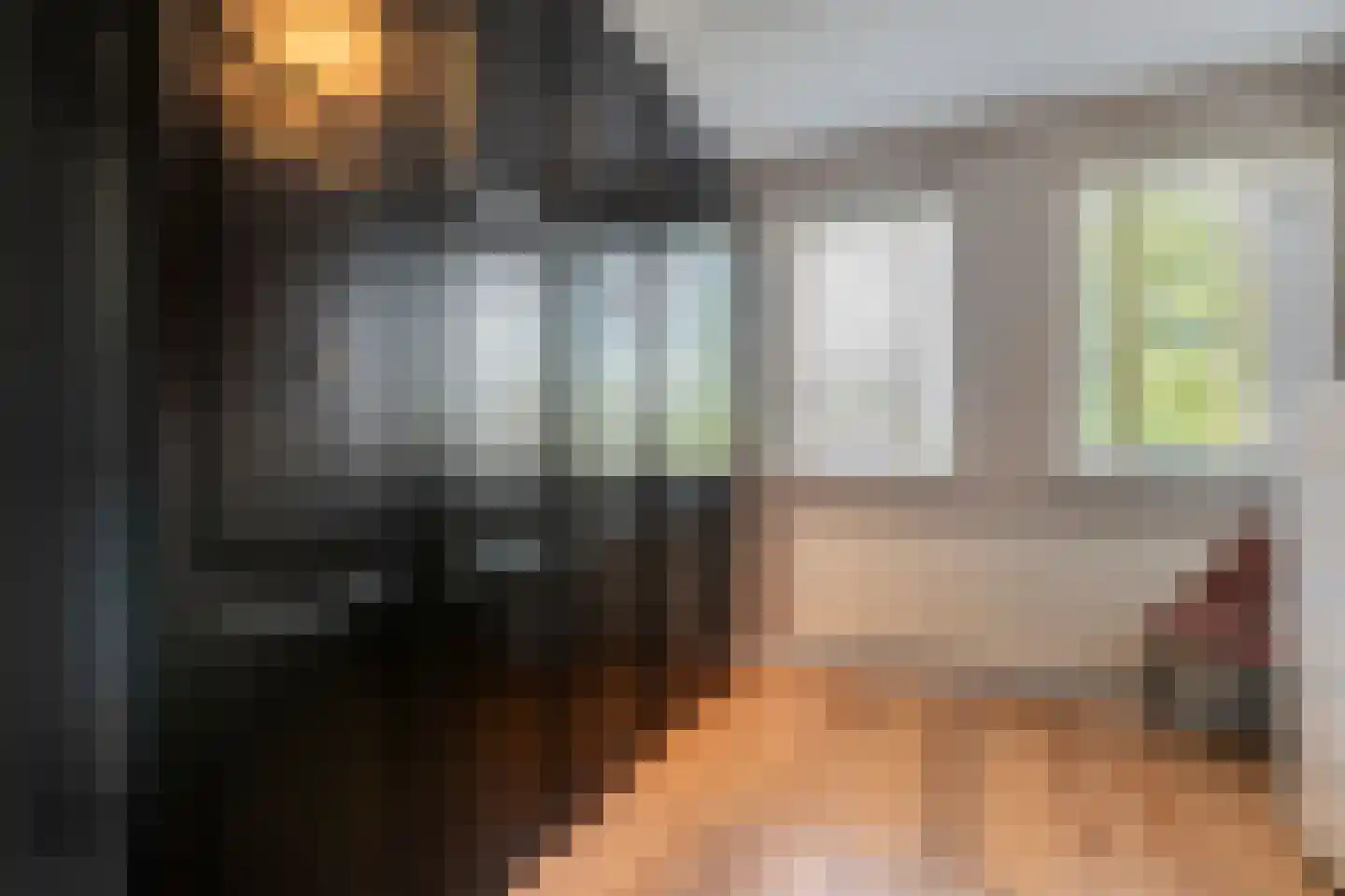 Koelmansstraat 28 Dalfsen thumbnail 22