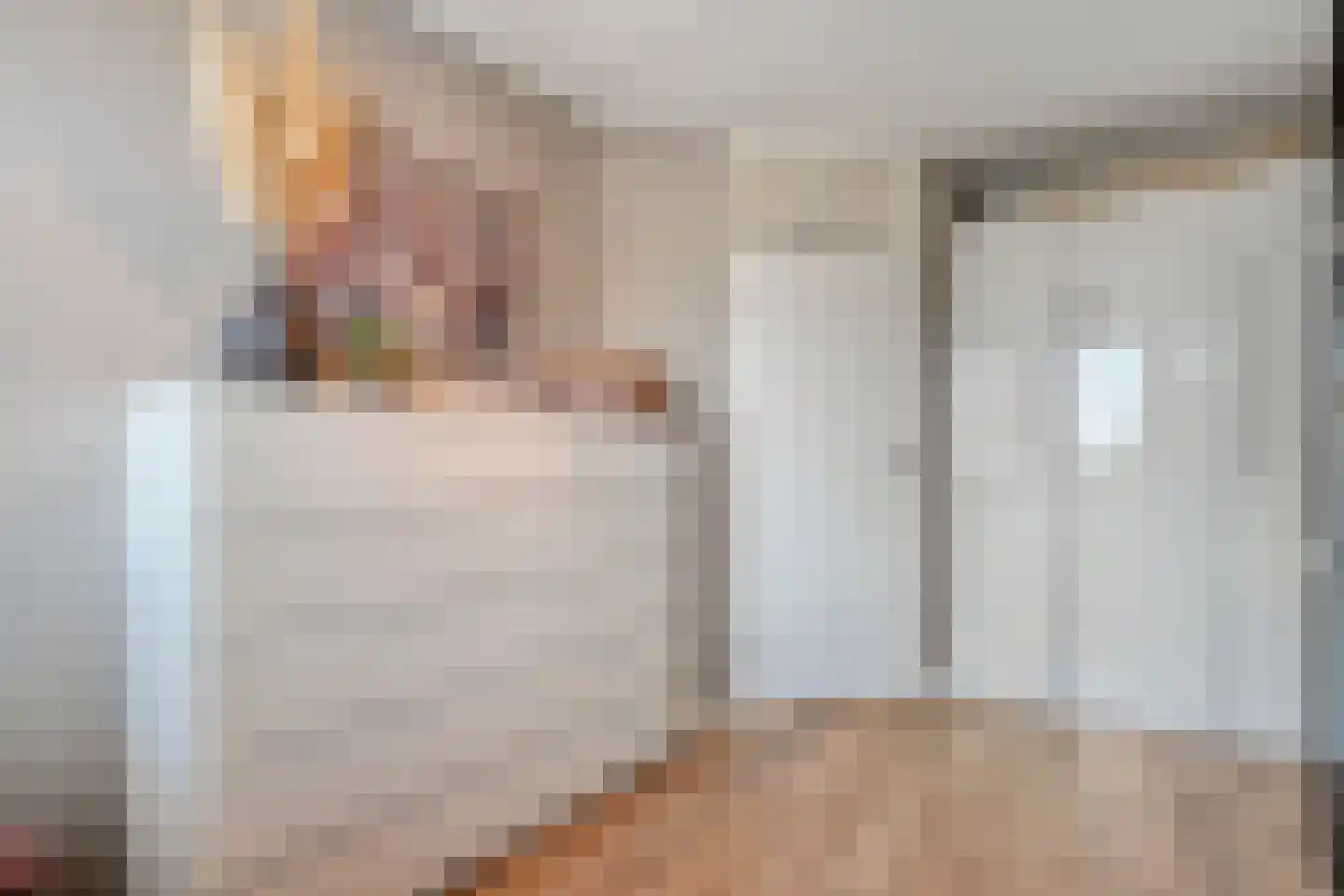 Koelmansstraat 28 Dalfsen thumbnail 23