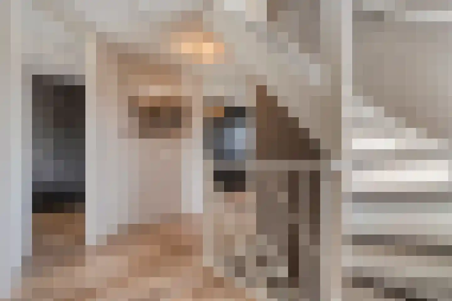 Koelmansstraat 28 Dalfsen thumbnail 26