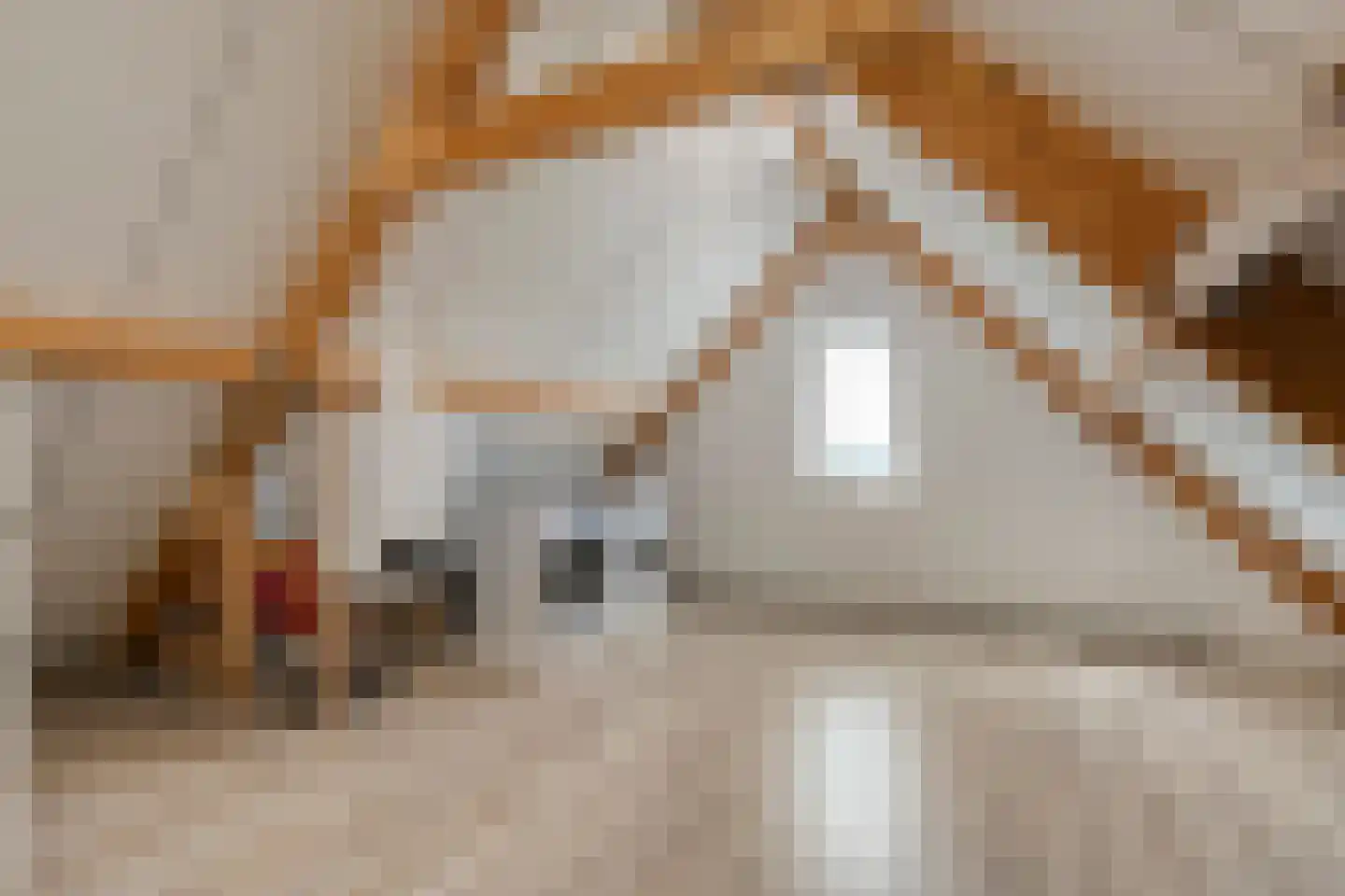 Koelmansstraat 28 Dalfsen thumbnail 31
