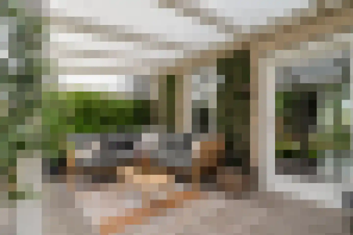 Koelmansstraat 28 Dalfsen thumbnail 32