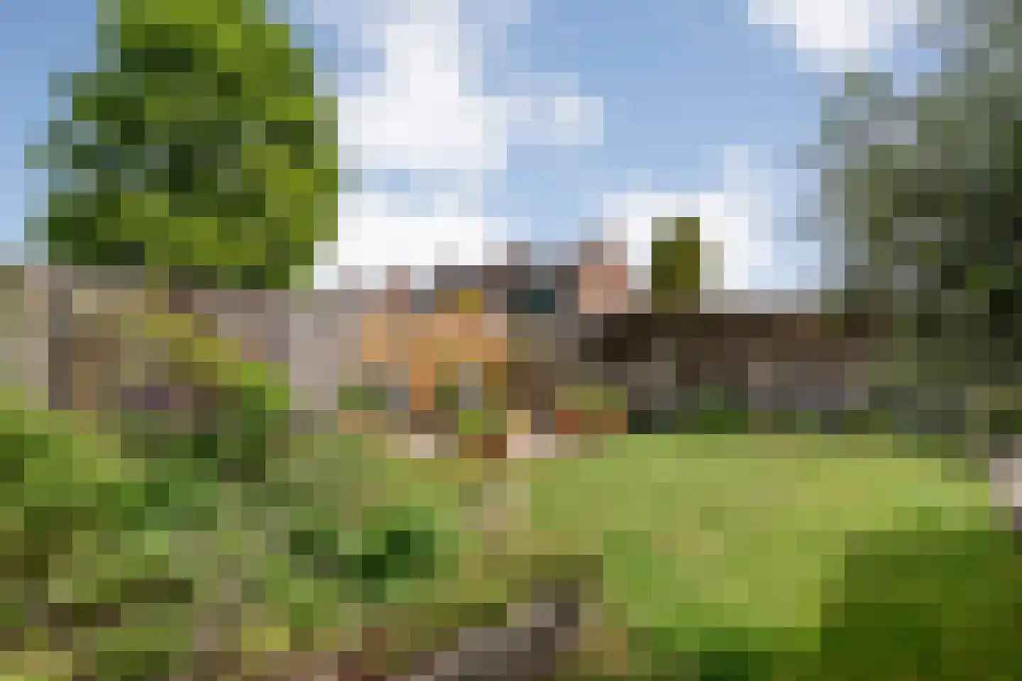Koelmansstraat 28 Dalfsen thumbnail 37
