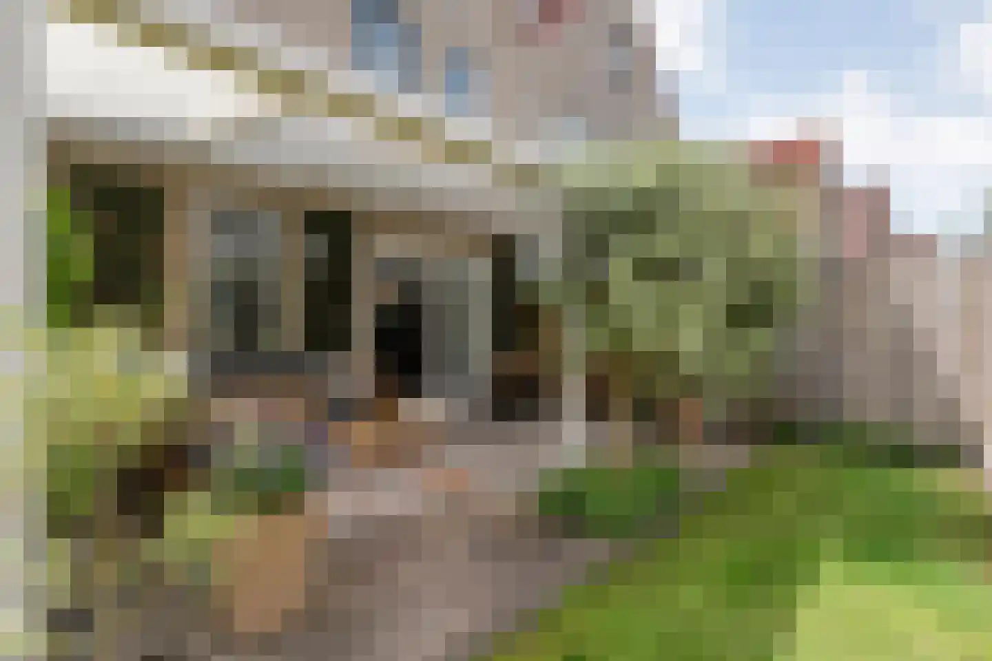 Koelmansstraat 28 Dalfsen thumbnail 42