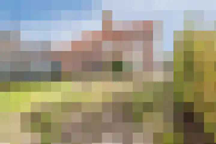 Koelmansstraat 8 Dalfsen thumbnail 30