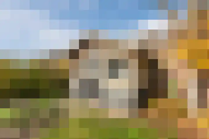 Koelmansstraat 8 Dalfsen thumbnail 34