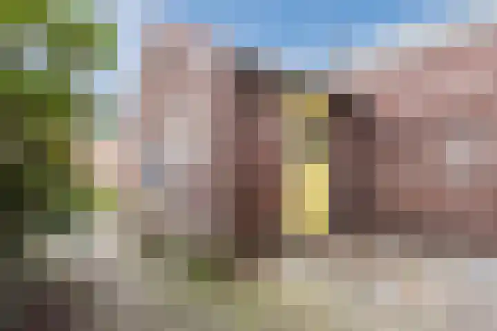 Koelmansstraat 8 Dalfsen thumbnail 35
