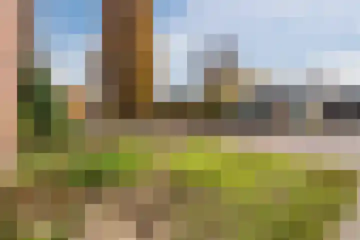 Koelmansstraat 8 Dalfsen thumbnail 4