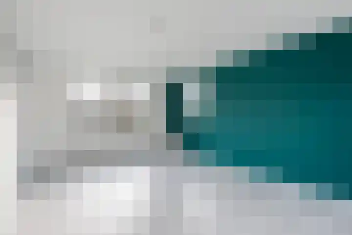 Koelmansstraat 8 Dalfsen thumbnail 8