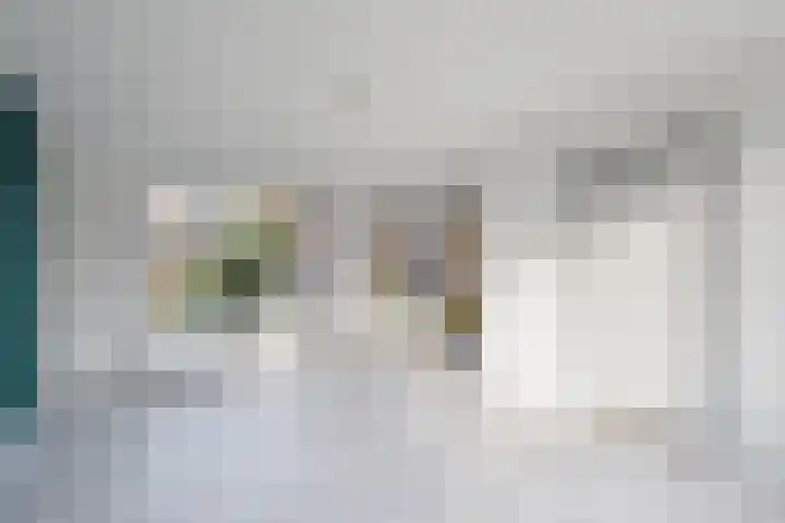Koelmansstraat 8 Dalfsen thumbnail 9