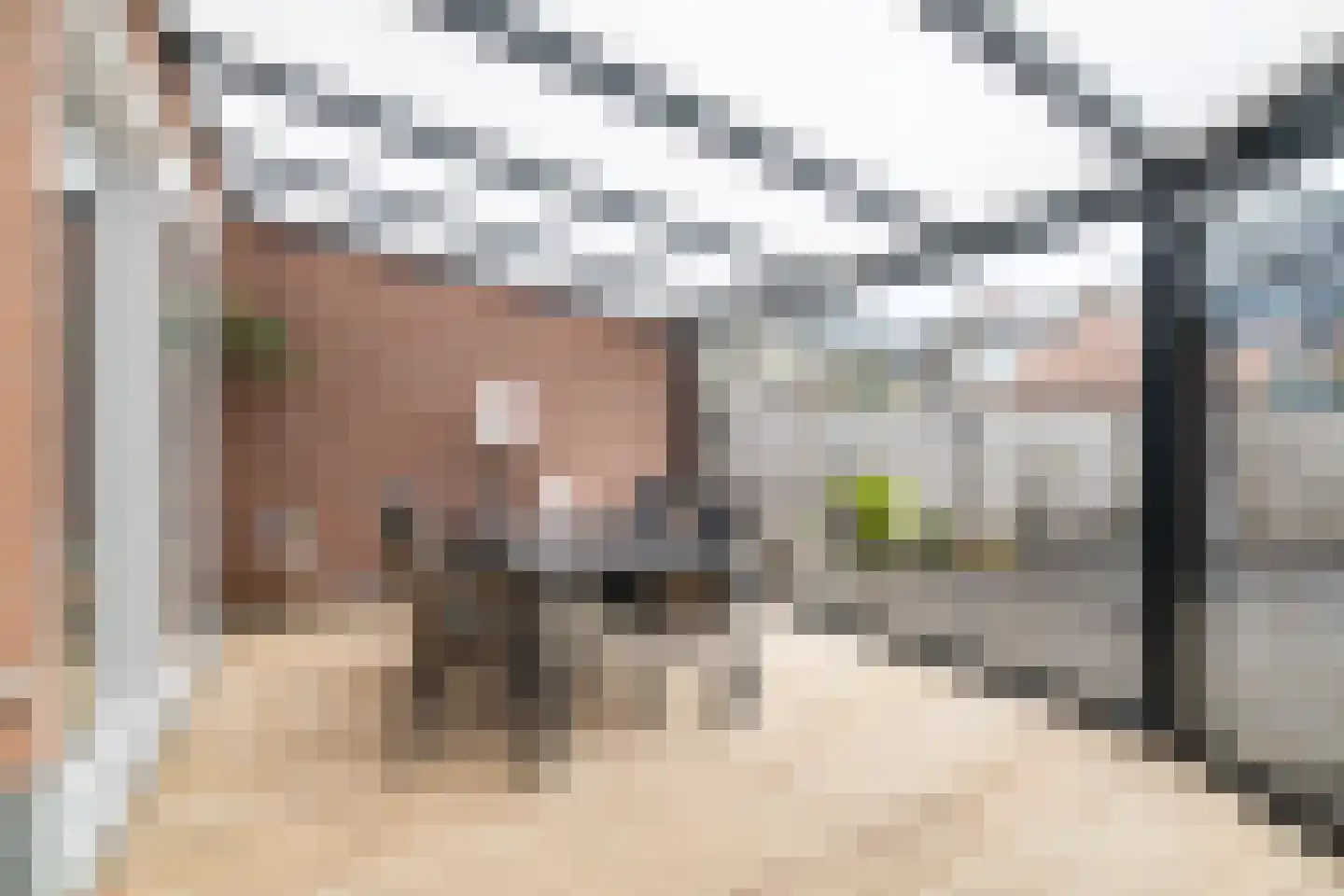 Koelmoer 39 Landgraaf thumbnail 22