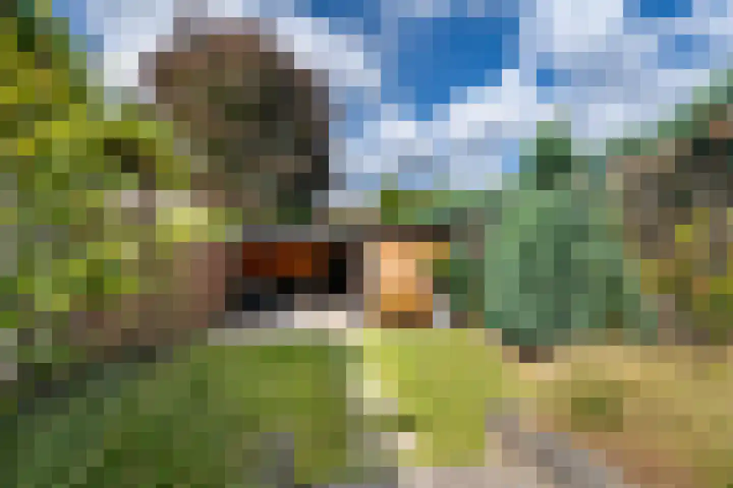 Koelmoer 46 Landgraaf thumbnail 26