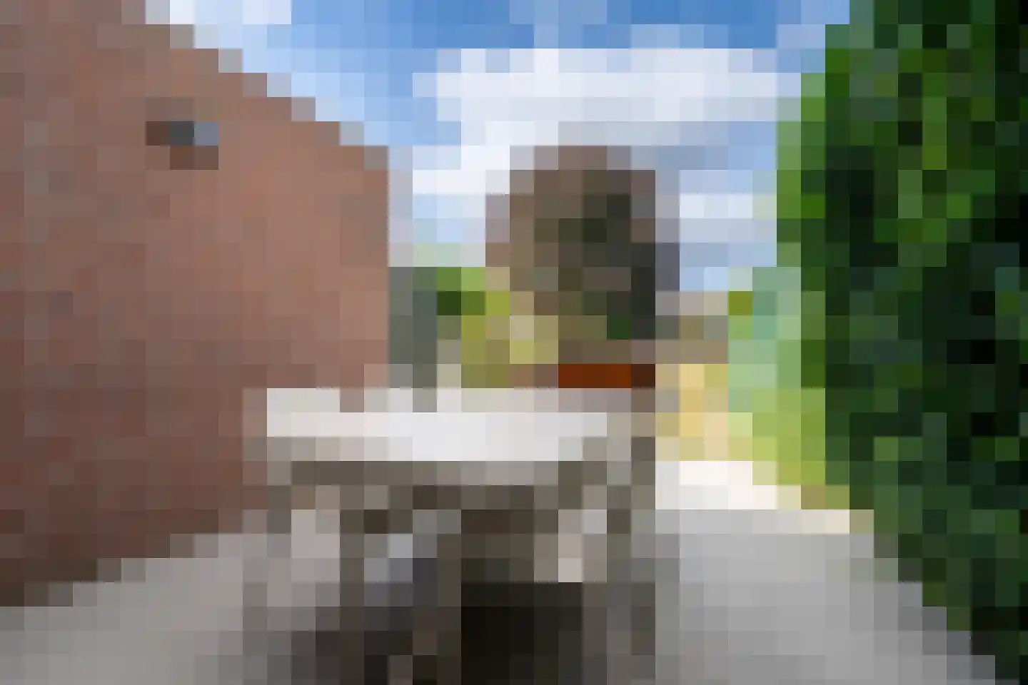 Koelmoer 46 Landgraaf thumbnail 29