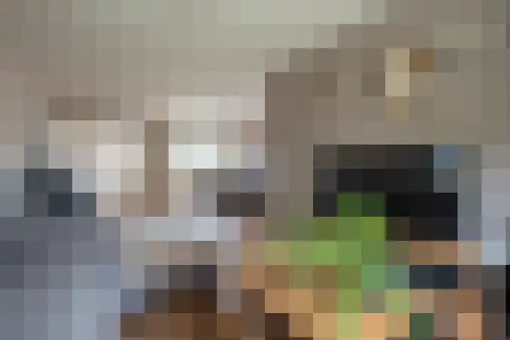 Koelstrawei 12 Twijzelerheide thumbnail 10