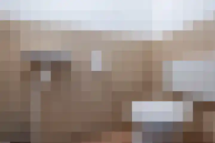 Koelstrawei 12 Twijzelerheide thumbnail 19