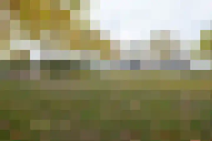 Koelstrawei 12 Twijzelerheide thumbnail 34