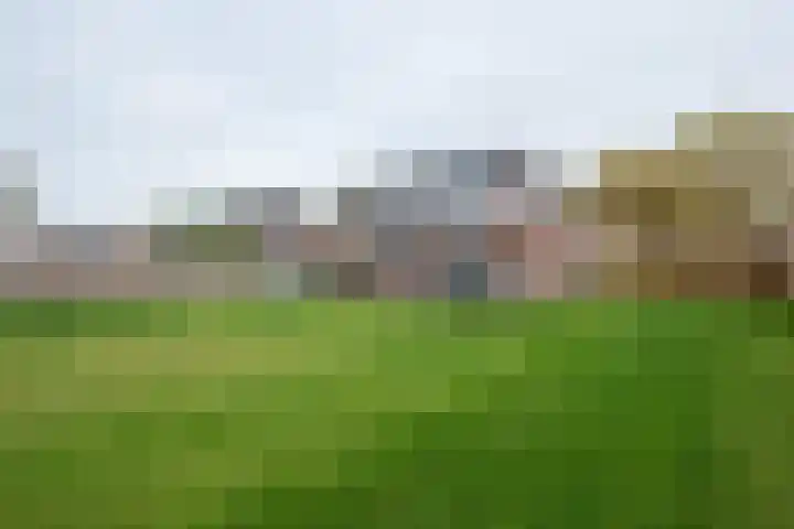 Koelstrawei 12 Twijzelerheide thumbnail 5