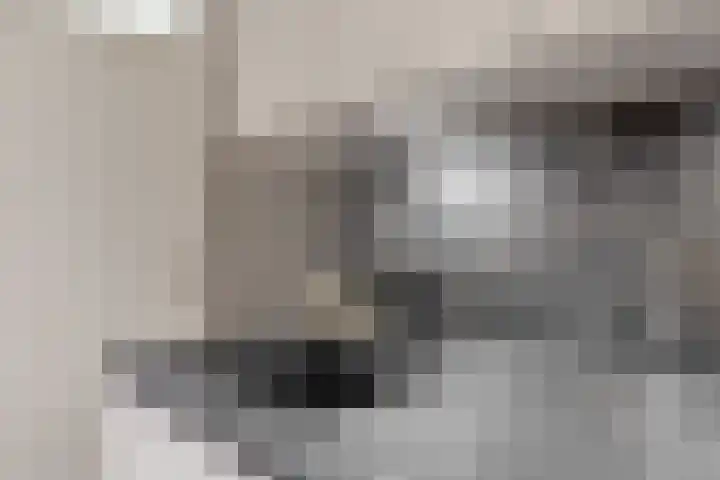 Koeltorenplein 26 Geleen thumbnail 13